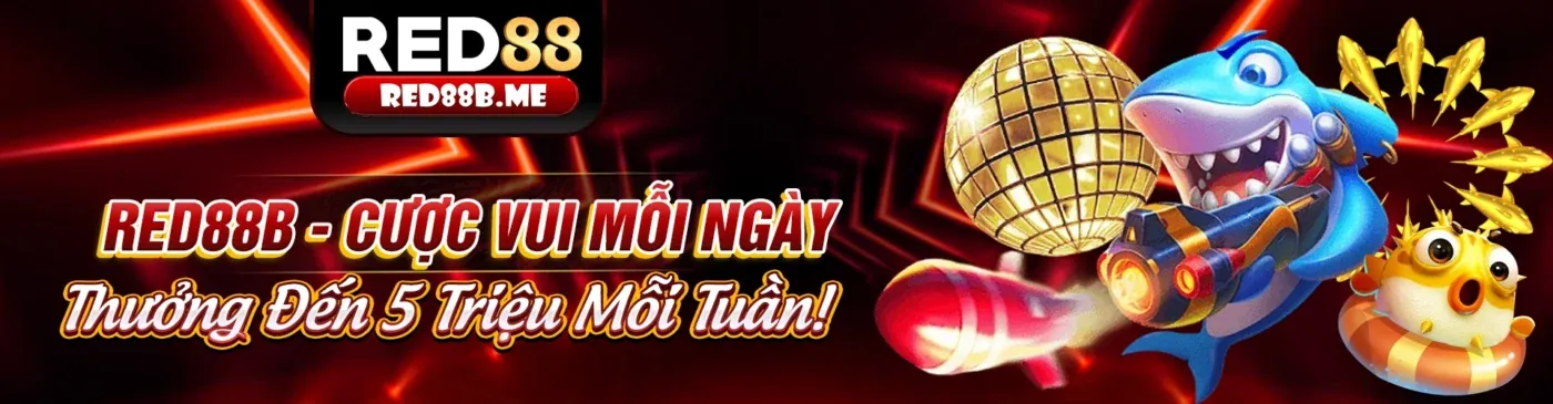 Hình ảnh minh họa phân tích hiệu suất trang web